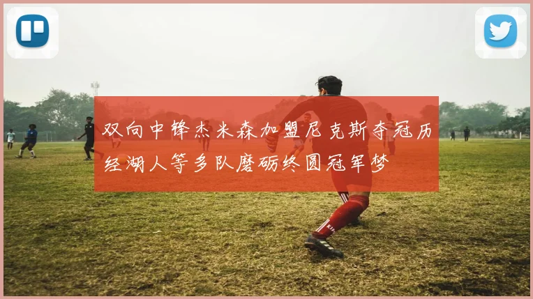双向中锋杰米森加盟尼克斯夺冠历经湖人等多队磨砺终圆冠军梦