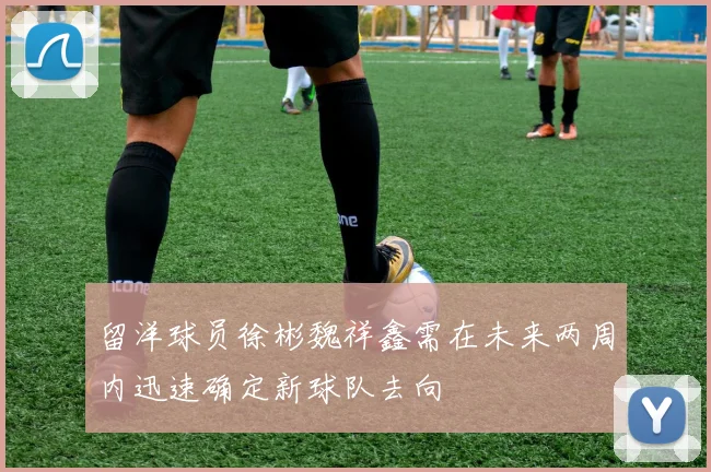 留洋球员徐彬魏祥鑫需在未来两周内迅速确定新球队去向